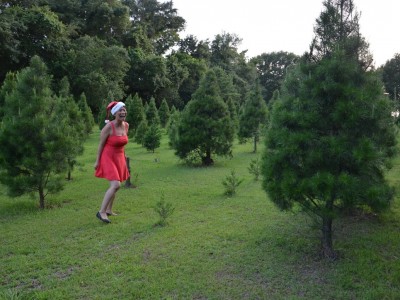 Elizabeth Chan in Christmas Tree Forest!