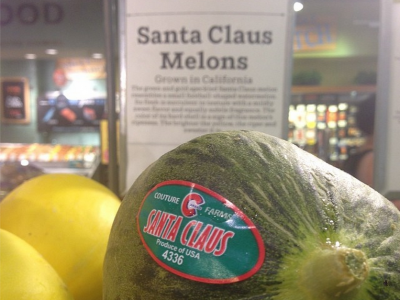 Santa Claus Melons